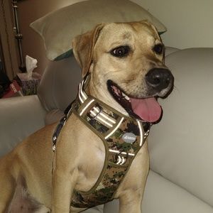 Meet your Posher, Veronica